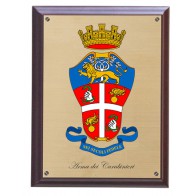 QUADRO STEMMA ARALDICO
